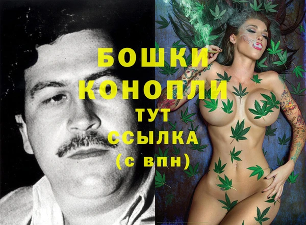 стафф Покачи