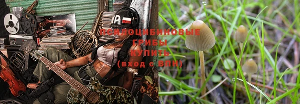стафф Покачи