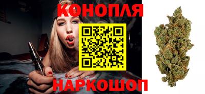 тгк Гусев