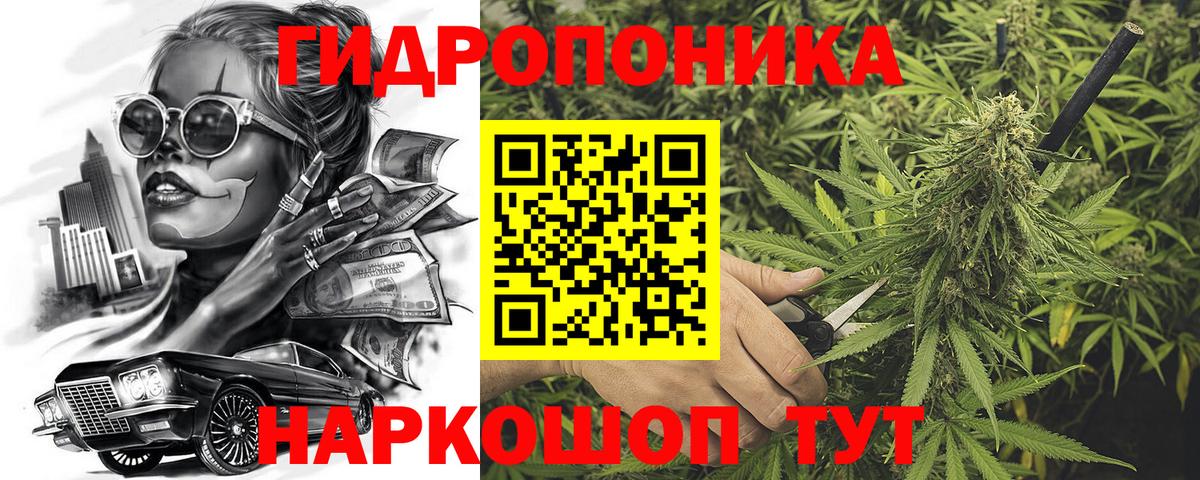 МАРИХУАНА SATIVA & INDICA  Канабис планчик  Вход с VPN  Канабис семена  Магнитогорск 